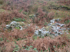 
Possible level West of Ty Cwmsychan, October 2009